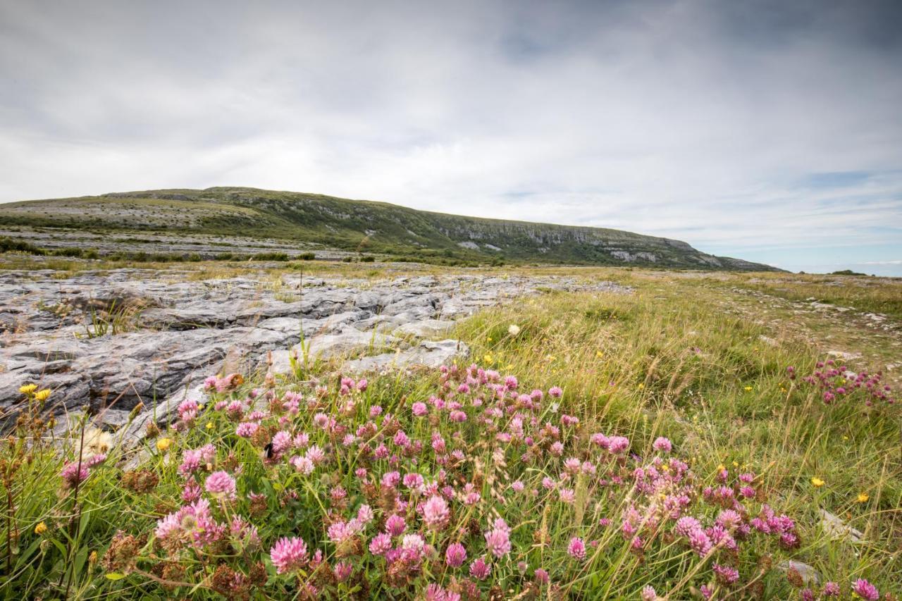 Gregans Castle Hotel Ballyvaughan Exteriér fotografie